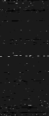 MTVZA-22.png